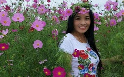 9877地铁笨蛋4国语版